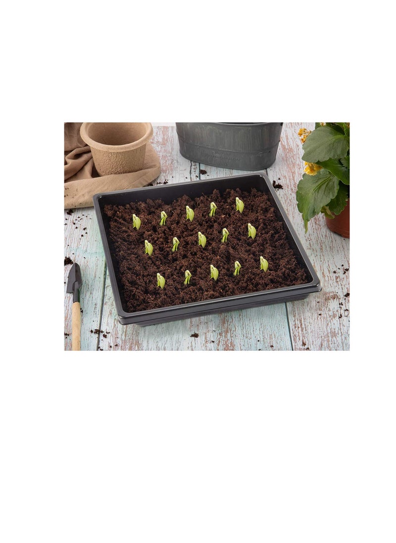 Plant Germination Trays -10 Pcs 10.6*10.6