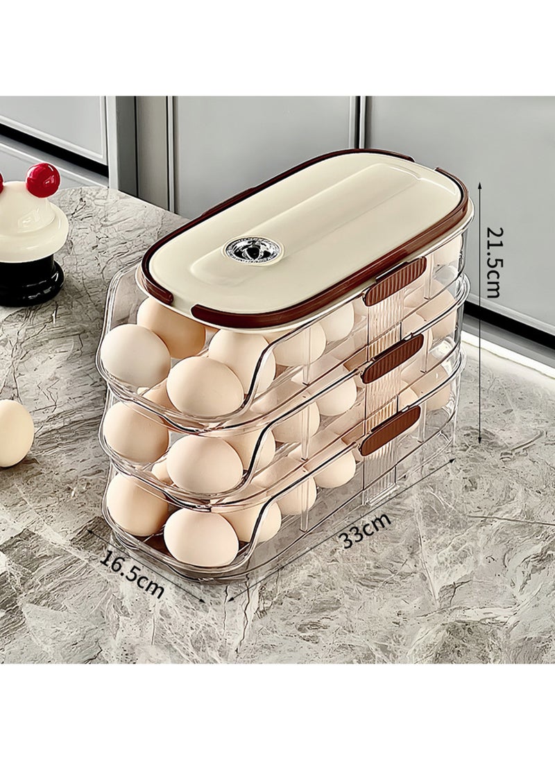 Double Row - Double Layer, Egg Storage Box Storage Container, Suitable For Refrigerator Door, Save Space