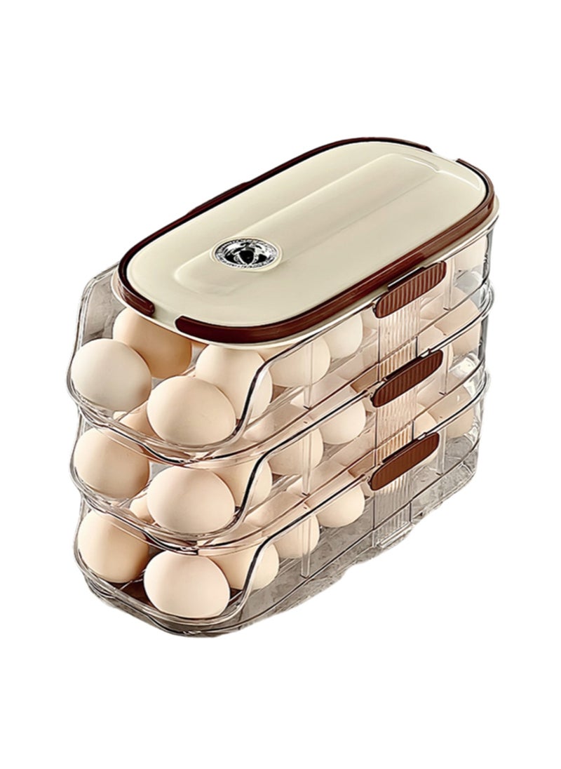 Double Row - Double Layer, Egg Storage Box Storage Container, Suitable For Refrigerator Door, Save Space