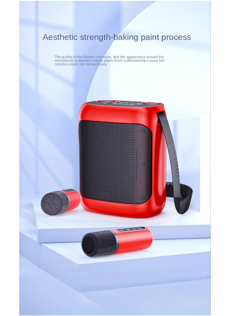 YS-220 Outdoor Karaoke Speaker Big Strap Speaker With Dual UHF Wireless Microphone