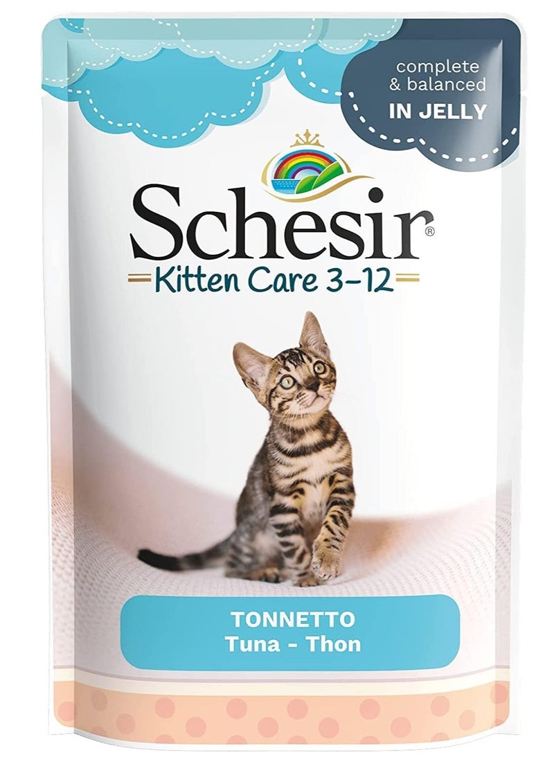 Schesir Kitten Jelly 3-12 Tuna Wet Food 85g 24pcs