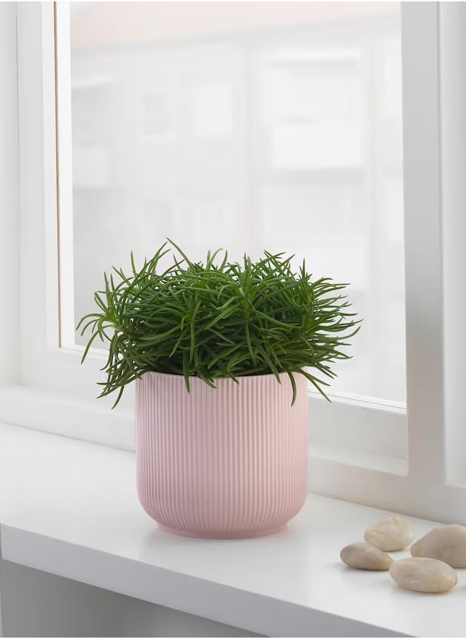 GRADVIS Plant pot, pink, 12 cm