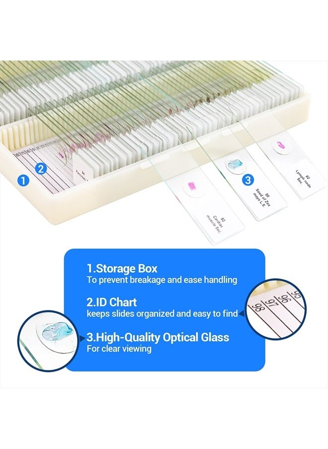 100 Prepared Microscope Slides with Specimens for Kids Adults - Bacterium, Fungus, Human Tissues, Mitosis, Plants, Insects, Animals Cells Samples for Biological Science Lab, School Students