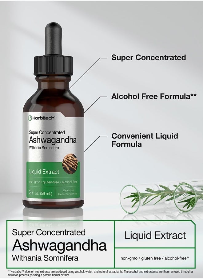 Ashwagandha Root Liquid Extract | 2 fl oz | Alcohol Free Tincture | Vegetarian, Non-GMO, Gluten Free Supplement