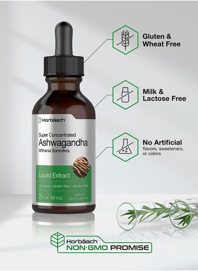 Ashwagandha Root Liquid Extract | 2 fl oz | Alcohol Free Tincture | Vegetarian, Non-GMO, Gluten Free Supplement