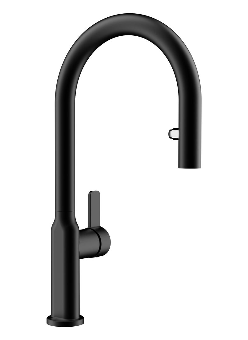 Oval Design Single Lever Kitchen Tap with Swivel Spout, Anti-Scale Aerator, and Pull-Out Dual Spray Functions OVAL 9382