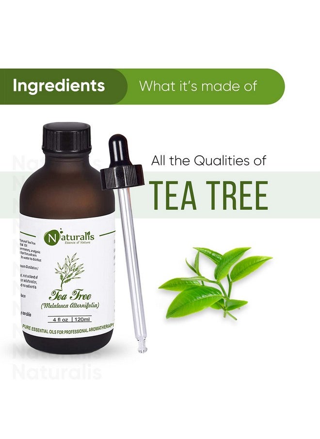 Essence Of Nature Tea Tree Essential Oil, For Acne, Pimples, Scars, Skin, Face, Hair Care & Anti-Dandruff - 120Ml