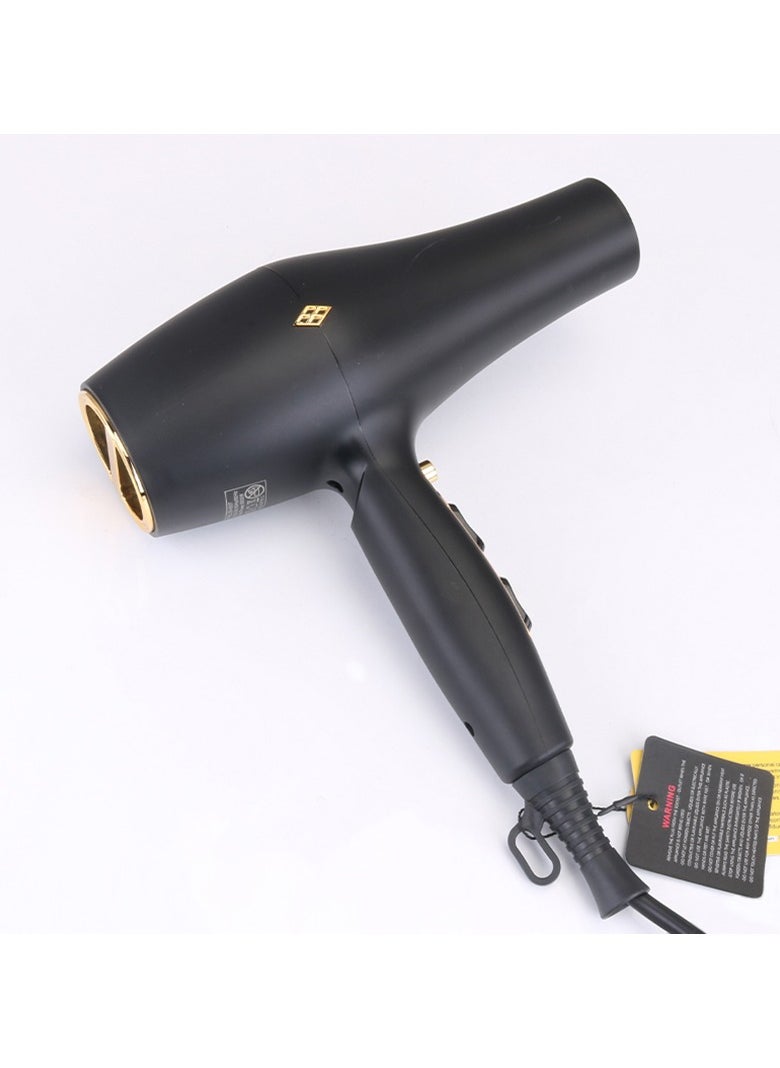 ENZO EN-6007 2000W Professional Blow Dryer - High-Power Hair Dryer with Ionic Technology, Multiple Heat & Speed Settings, Cool Shot Button, and Removable Filter - Ideal for Salon & Home Use - International Version