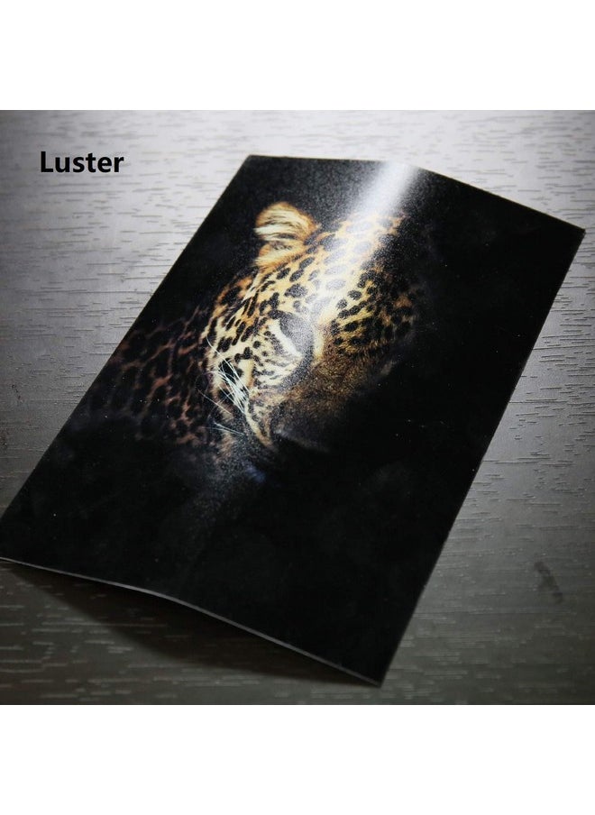 Premium Photo Paper Luster 11X17 Inch 66Lb For Inkjet Printers 50 Sheets, Single Sided