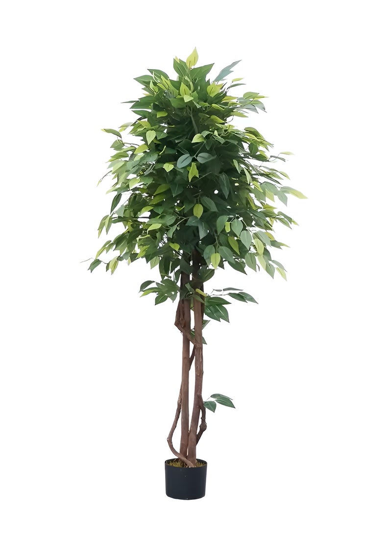 Essentials 360® Artificial Ficus Tree 160cm Tall Fake Plant Faux Tree with Moss Grass & Pot Realistic Leaves & Natural Trunk for Home Office Garden Living Room Indoor Outdoor Decor artificial plant