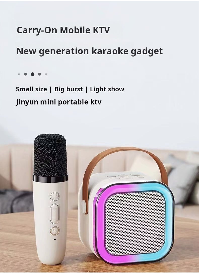 Home Karaoke Portable Bluetooth Speaker With Two Wireless Microphones - ECO SHINE  K12 Portable Speaker