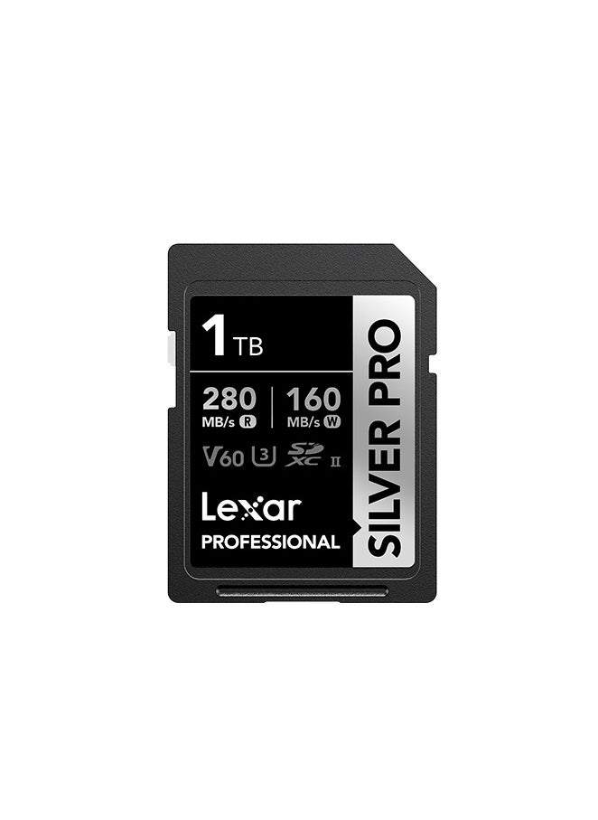 Lexar 1TB Professional Silver PRO SDXC Memory Card, UHS-II, C10, U3, V60, Full-HD & 4K Video, Up to 280MB/s Read, For Professional Photographer, Videographer, Enthusiast (LSDSIPR001T-BNNNG)