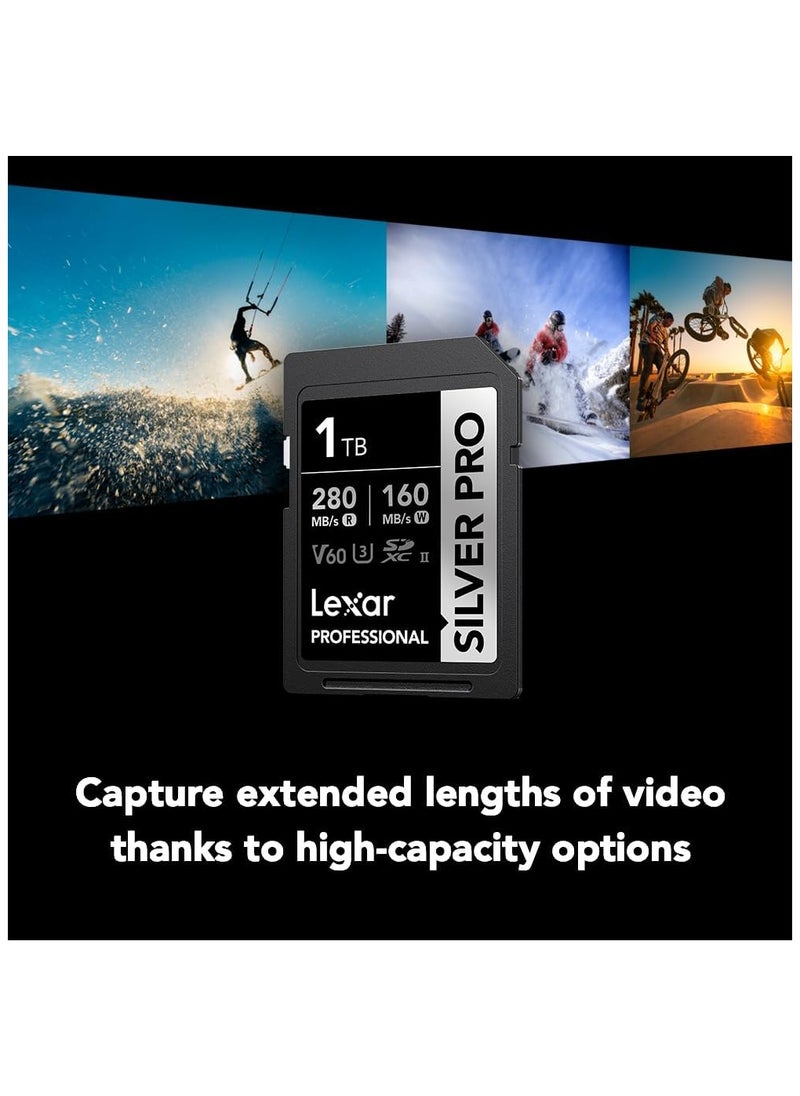 Lexar 1TB Professional Silver PRO SDXC Memory Card, UHS-II, C10, U3, V60, Full-HD & 4K Video, Up to 280MB/s Read, For Professional Photographer, Videographer, Enthusiast (LSDSIPR001T-BNNNG)