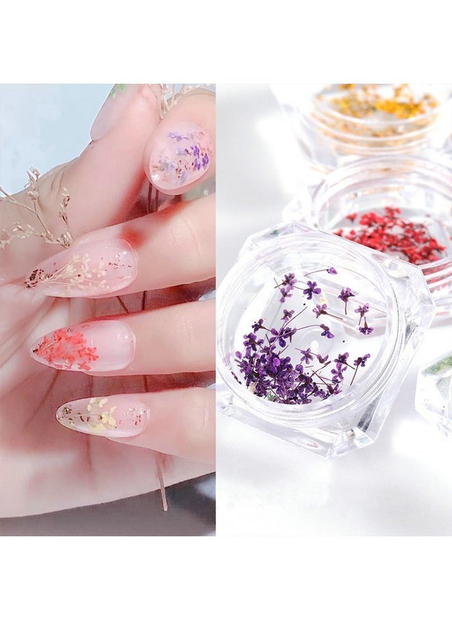 8 Boxes Dried Flowers For Nails Mini Real Nail Flowers 3D Dried Flowers Nail Stickers Nail Decor Manicure Design Nail Decorations For Makeup Diy Craft Accessories