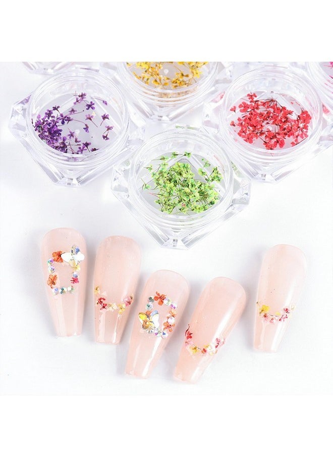 8 Boxes Dried Flowers For Nails Mini Real Nail Flowers 3D Dried Flowers Nail Stickers Nail Decor Manicure Design Nail Decorations For Makeup Diy Craft Accessories