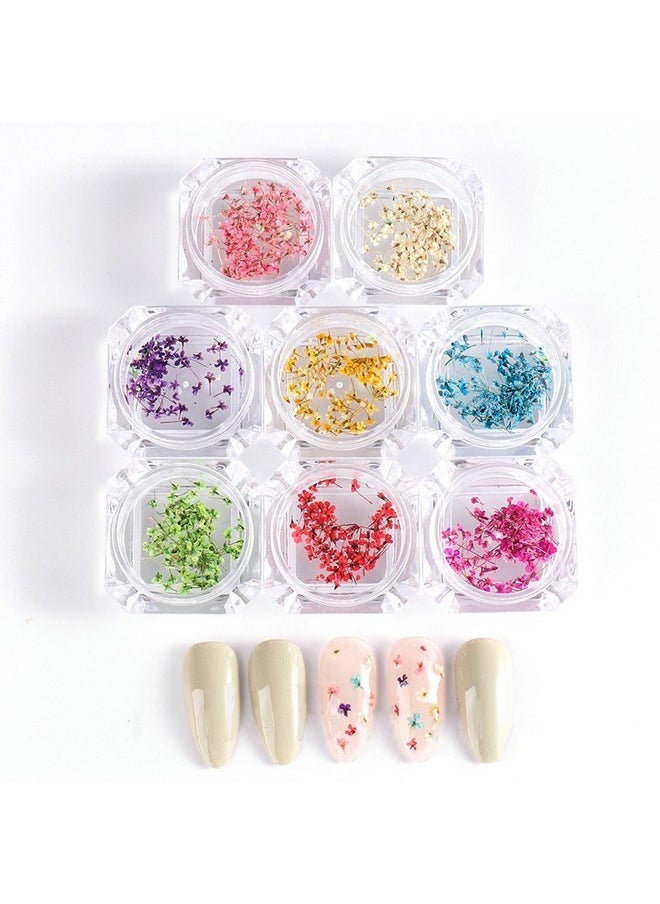 8 Boxes Dried Flowers For Nails Mini Real Nail Flowers 3D Dried Flowers Nail Stickers Nail Decor Manicure Design Nail Decorations For Makeup Diy Craft Accessories