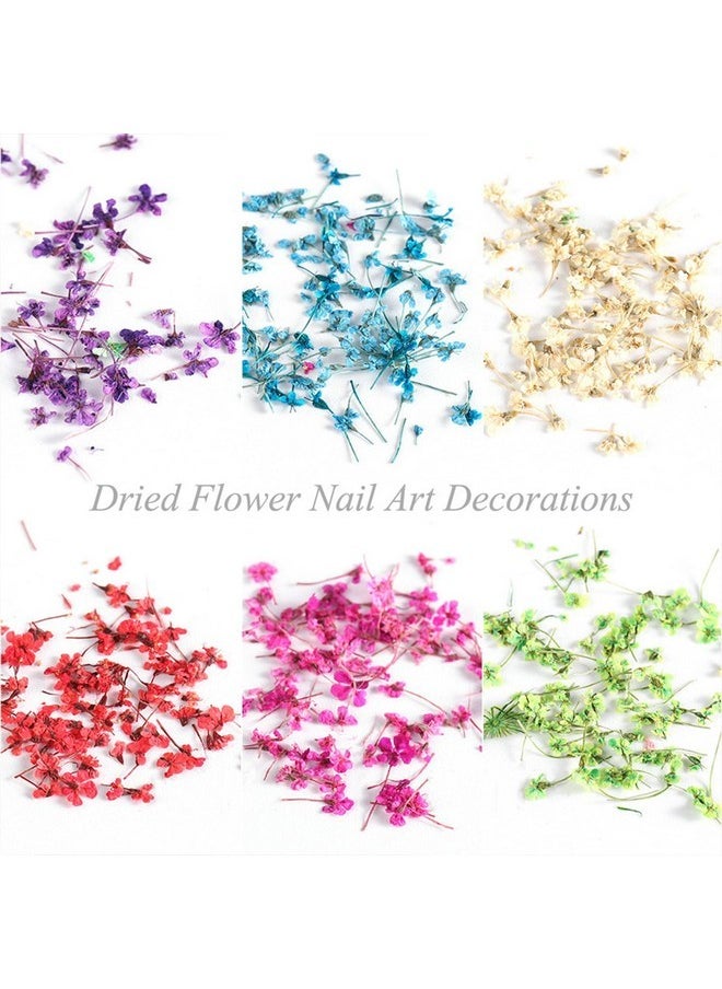 8 Boxes Dried Flowers For Nails Mini Real Nail Flowers 3D Dried Flowers Nail Stickers Nail Decor Manicure Design Nail Decorations For Makeup Diy Craft Accessories
