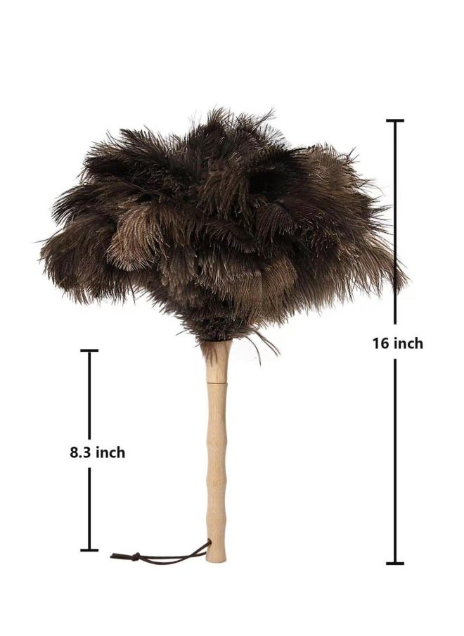 Fluffy Natural Ostrich Feather Duster, Genuine Ostrich Feathers with Wooden Handle and Eco-Friendly Reusable Handheld Ostrich Feather Duster for Cleaning Supplies