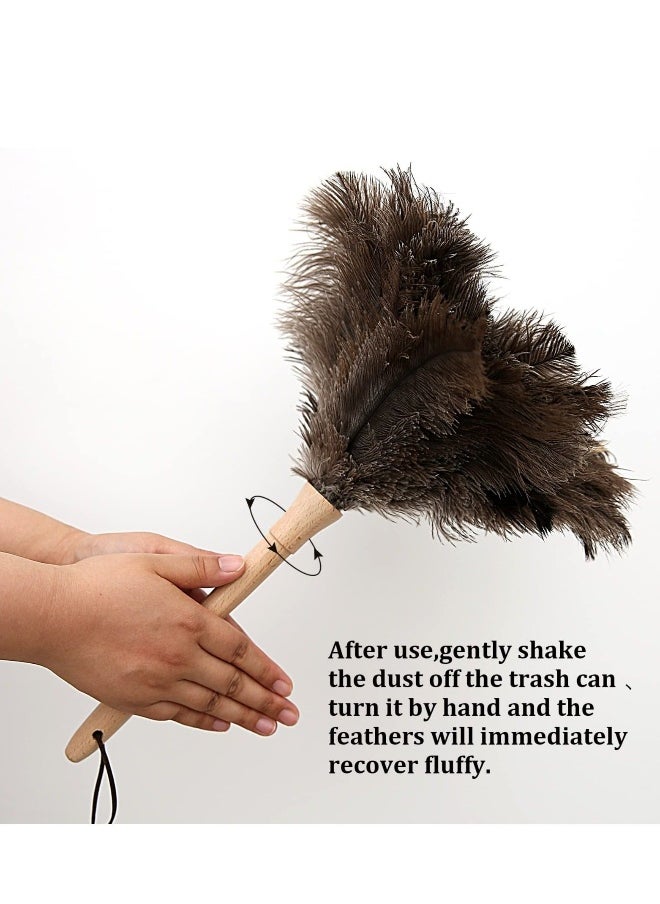 Fluffy Natural Ostrich Feather Duster, Genuine Ostrich Feathers with Wooden Handle and Eco-Friendly Reusable Handheld Ostrich Feather Duster for Cleaning Supplies