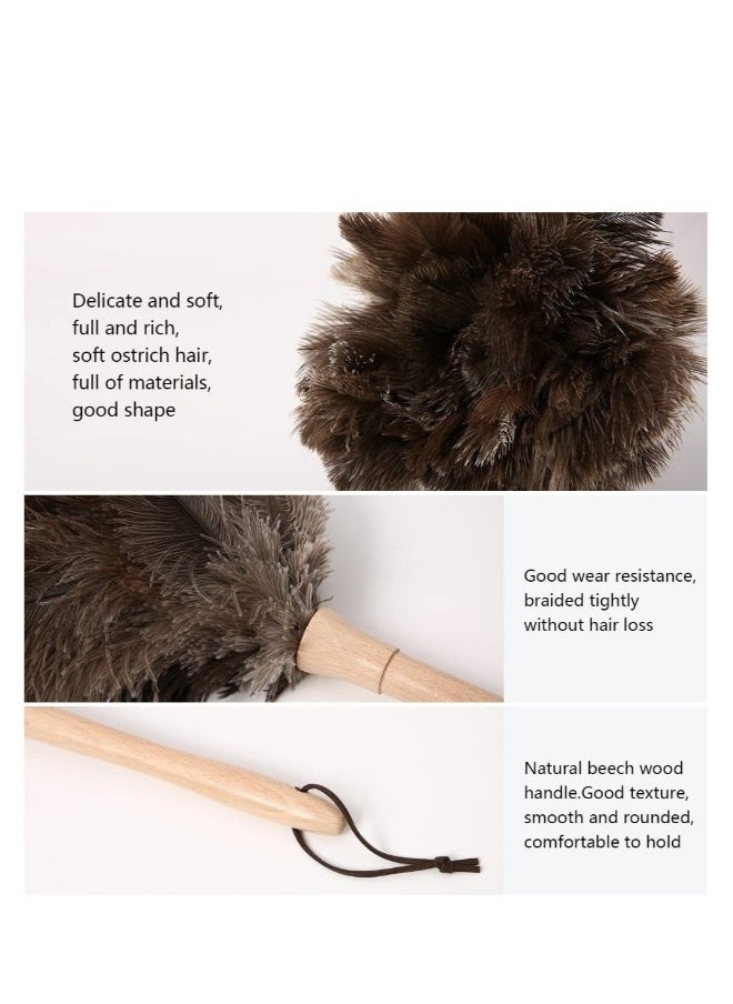 Fluffy Natural Ostrich Feather Duster, Genuine Ostrich Feathers with Wooden Handle and Eco-Friendly Reusable Handheld Ostrich Feather Duster for Cleaning Supplies