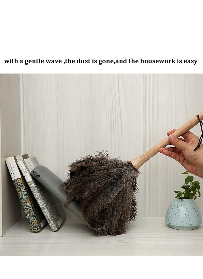 Fluffy Natural Ostrich Feather Duster, Genuine Ostrich Feathers with Wooden Handle and Eco-Friendly Reusable Handheld Ostrich Feather Duster for Cleaning Supplies