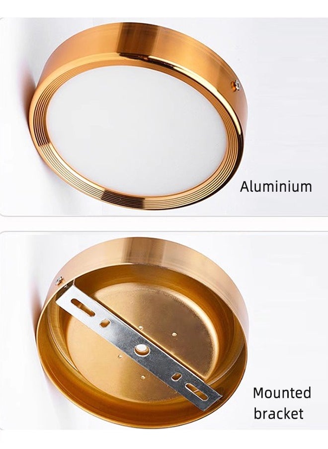 2 Pack Round LED Flush Mount Lights 75mm 5W,Warm White Colour (3000 K),Indoor Gold Surface Ceiling Lamp For Hallway Patio Living Room Corridor Restaurant Office,Aluminum,Driver Included