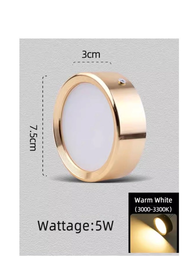 2 Pack Round LED Flush Mount Lights 75mm 5W,Warm White Colour (3000 K),Indoor Gold Surface Ceiling Lamp For Hallway Patio Living Room Corridor Restaurant Office,Aluminum,Driver Included