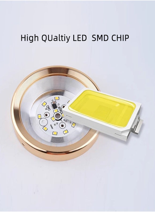 2 Pack Round LED Flush Mount Lights 75mm 5W,Warm White Colour (3000 K),Indoor Gold Surface Ceiling Lamp For Hallway Patio Living Room Corridor Restaurant Office,Aluminum,Driver Included