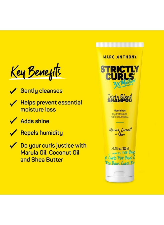 Curly Hair Shampoo, Strictly Curls - 3X Moisture For Curl Defining & Curl Enhancing - Shea Butter, Marula Oil, Aloe Vera & Coconut Cream - Sulfate Free & Color Safe For Dry Damaged Hair