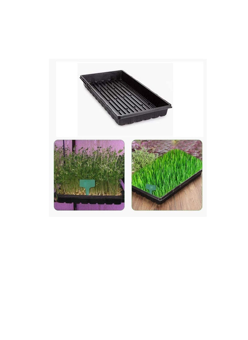 6 Packs Plastic Growing Trays Seed Tray Seedling Starter for Greenhouse Hydroponics Seedlings Plant Germination