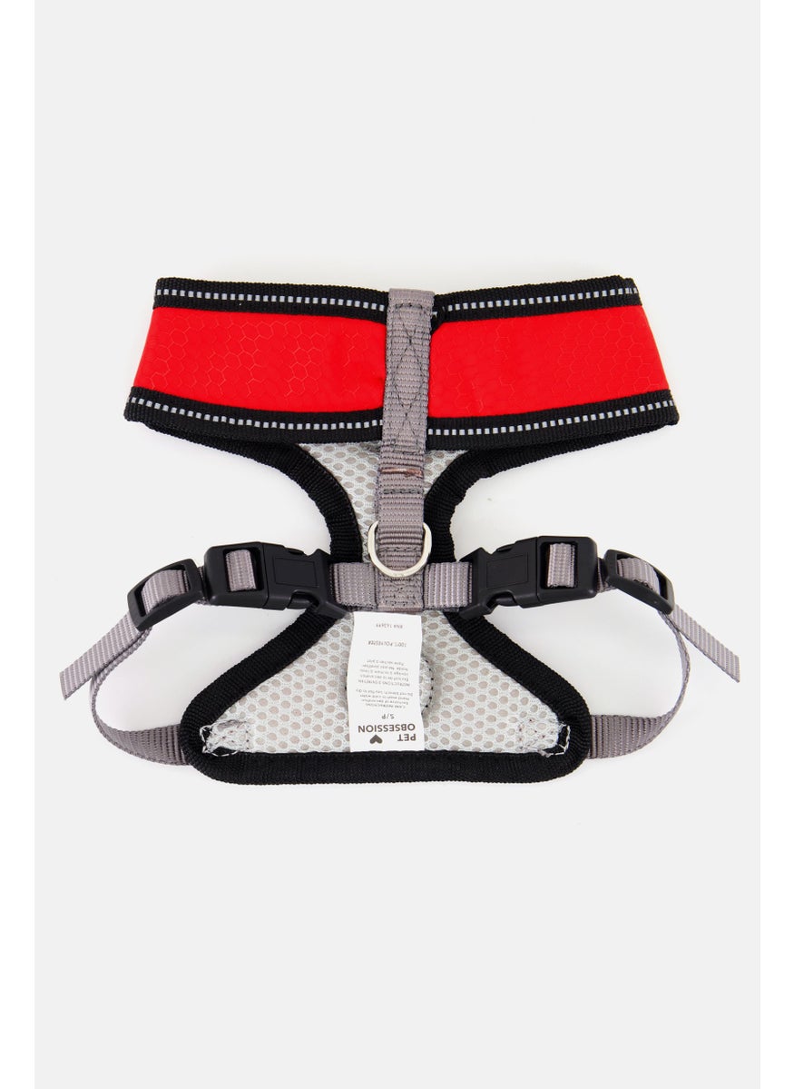 Comfortable  No Pull Dog harness, Assorted