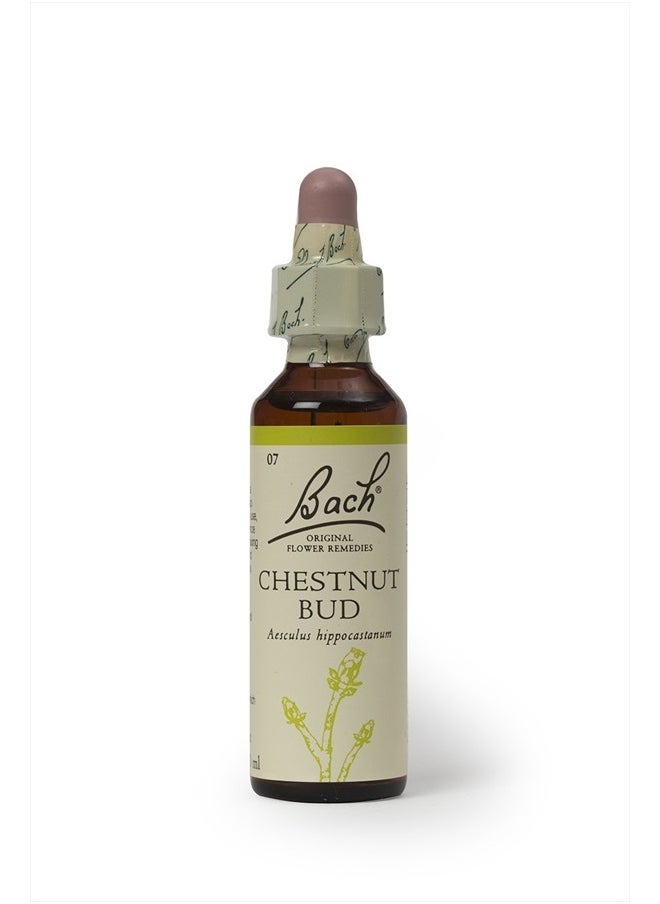 Original Flower Remedy Chestnut Bud 20 ml