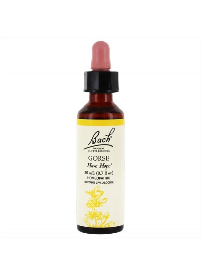 BACH Flower ESSENCES Flower Essence Gorse 20 ML