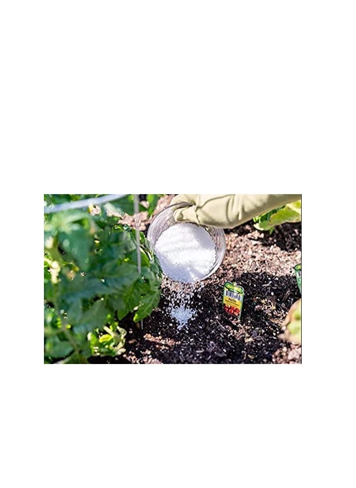 Grow Fast Epsom Salt (Magnesium Sulphate) 1Kg for Plants Growth & Plants Nutrient