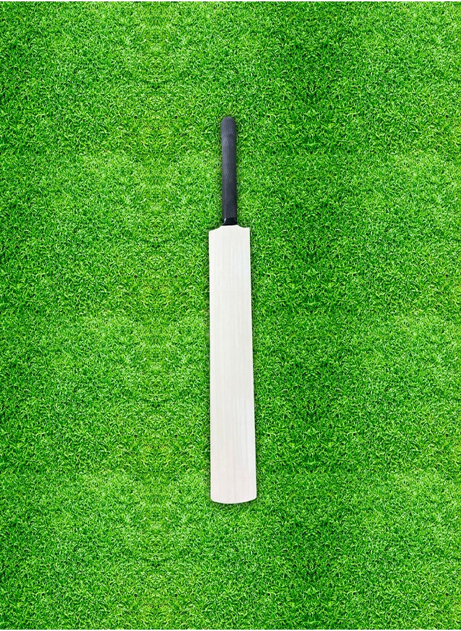 CA Autograph Cricket Bat Full Size