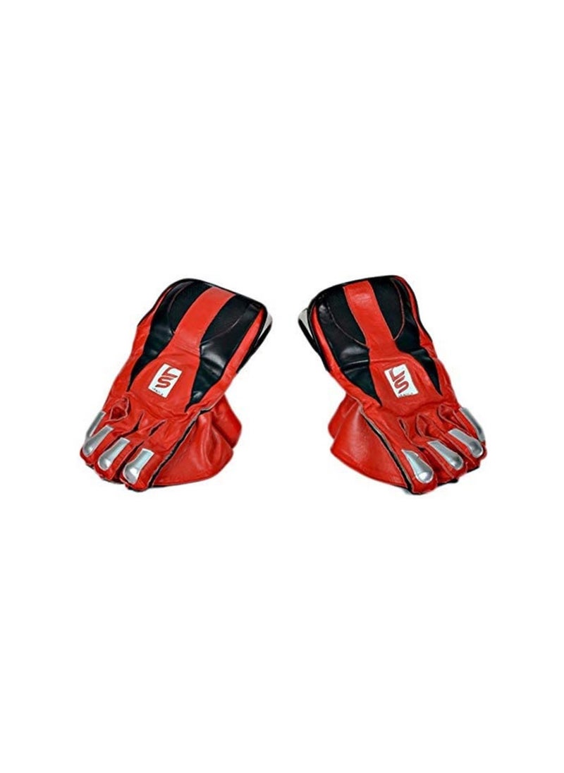 Cricket Wicket Keeping Gloves