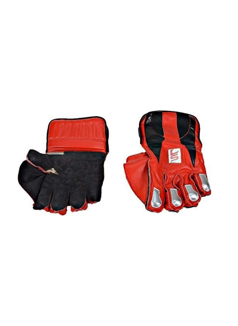 Cricket Wicket Keeping Gloves