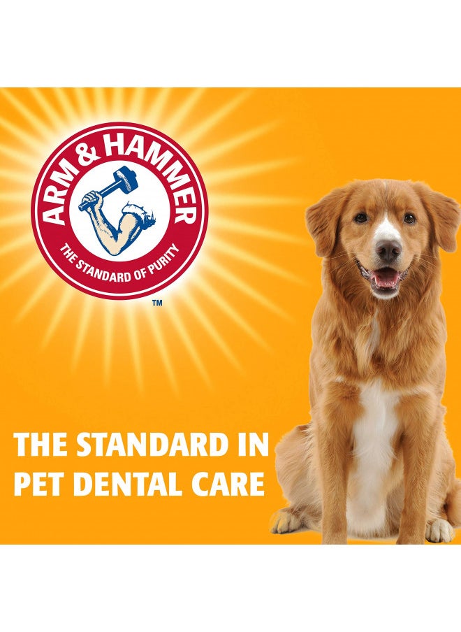 Arm & Hammer for Pets Advanced Care Dental Water Additive for Cats | Cat Teeth Cleaning Product for All Cats | Cat Dental Rinse in Fresh Mint Flavor, 8 Ounces