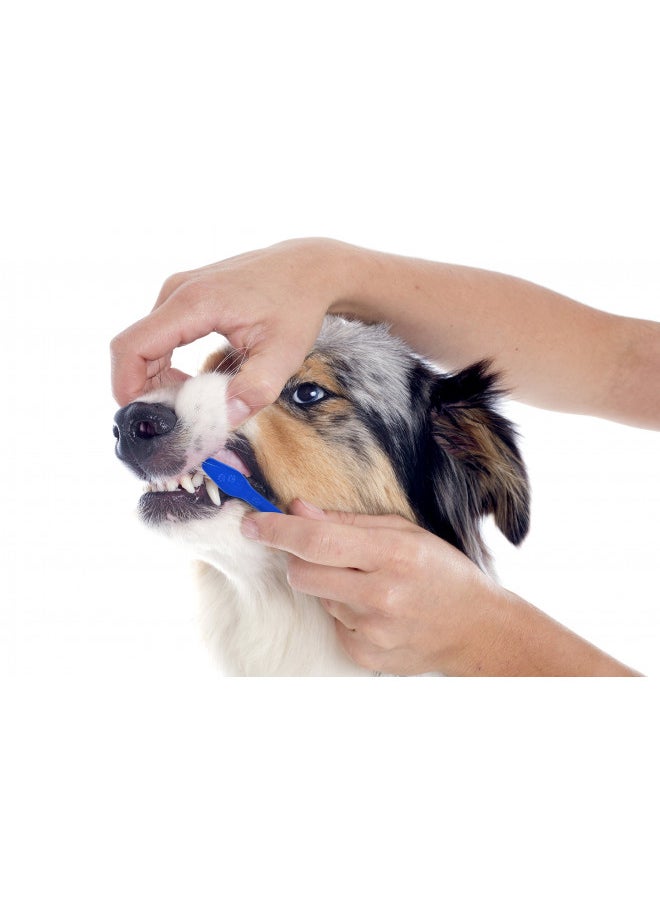 Dog Toothbrush Set