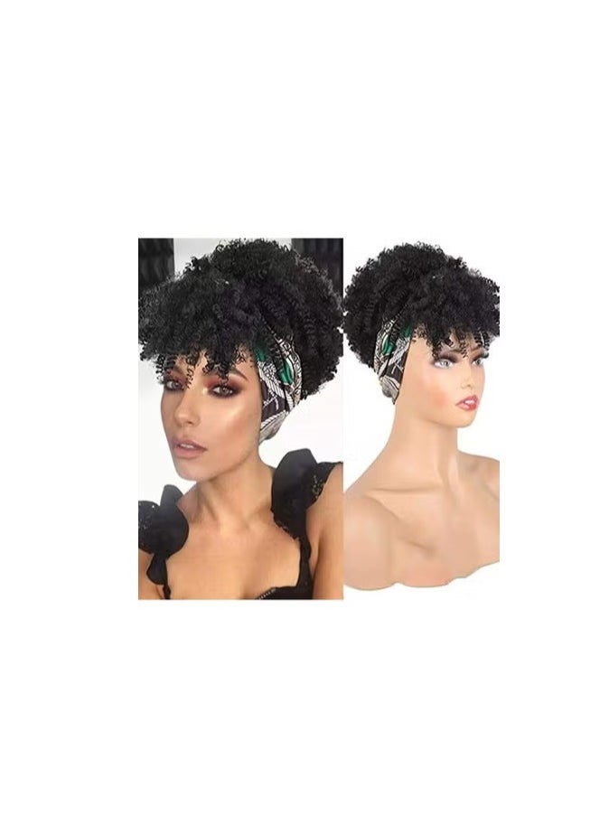 Afro Kinky Curly Hair Wigs