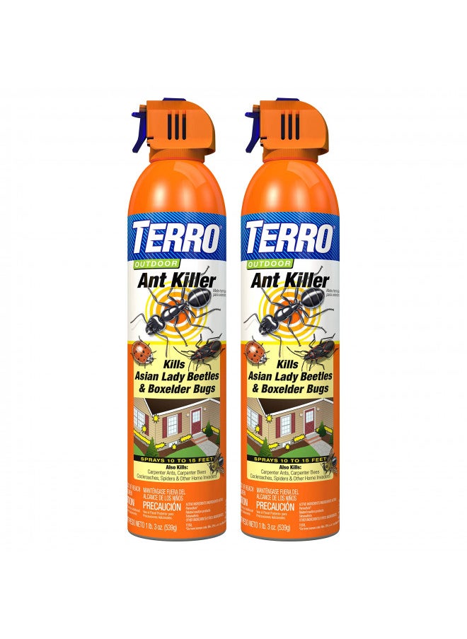 TERRO T1700SR 2 Pack 19 oz Outdoor Ant Killer Spray, White