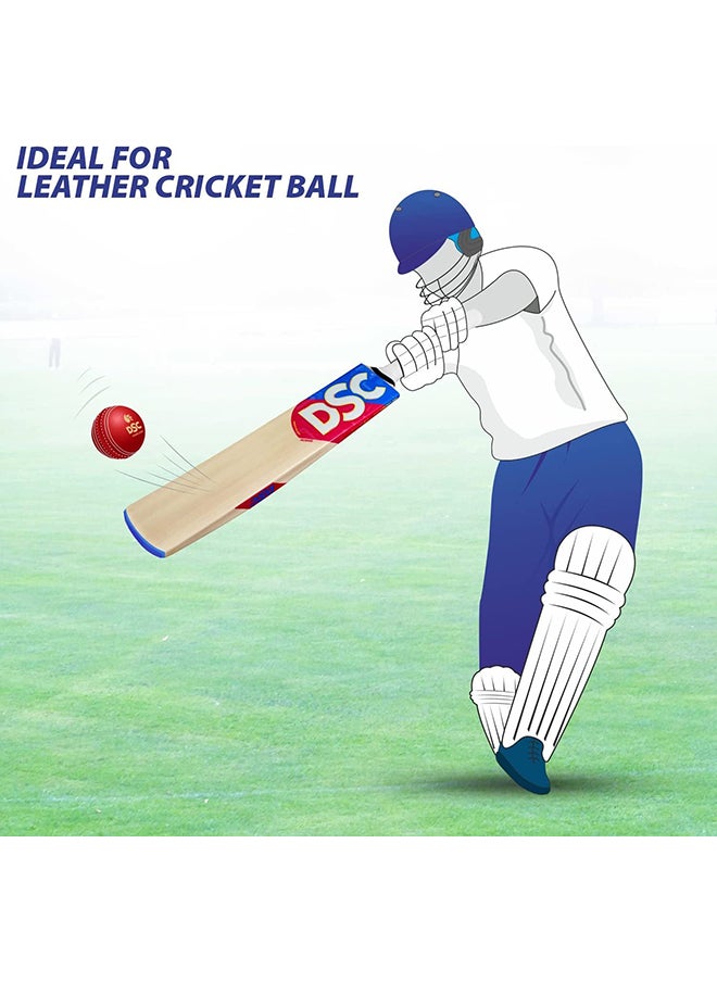Intense Force Cricket Bat For Mens and Boys | Size -6 | Material: Kashmir Willow | Lightweight | Free Cover | Ready to play | For Intermediate Player | Ideal For Leather Ball