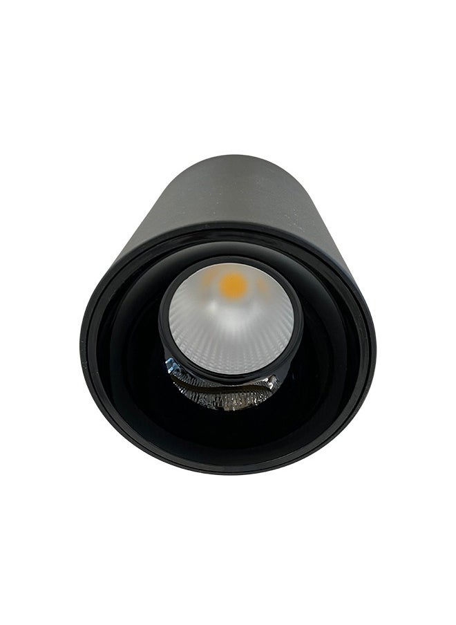 LED Indoor Ceiling Spotlight 12W Black