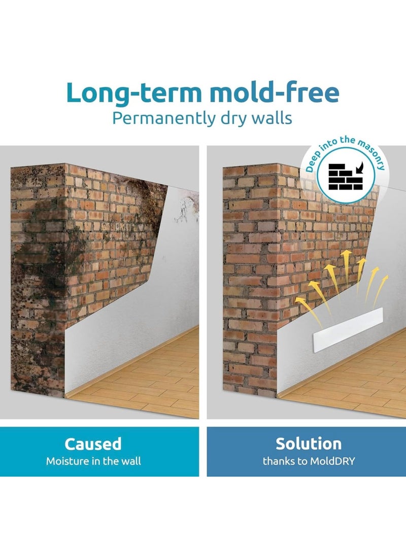 Mould remover Basic plus extension Module - Mould magic Remover without Chemicals - Alternative to every Mould Spray or Anti Mould white paint for Any Room - mould free forever