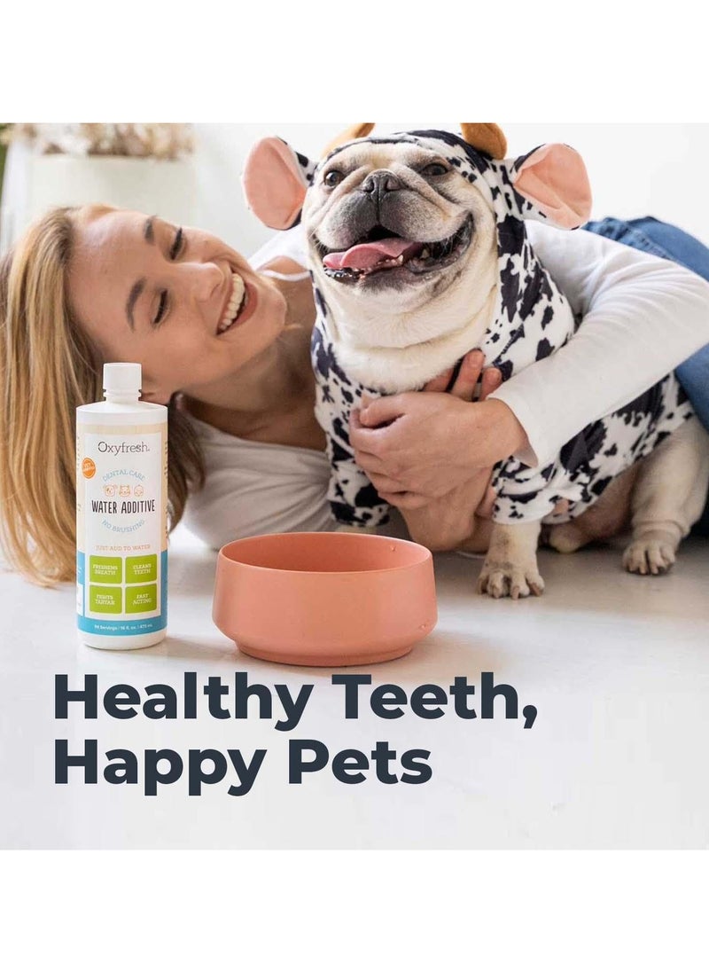 Oxyfresh Premium Pet Dental Care Solution Pet Water Additive: Best Way to Eliminate Bad Dog Breath and Cat Bad Breath - Fights Tartar & Plaque - So Easy, Just Add to Water! Vet Recommended 16 oz.