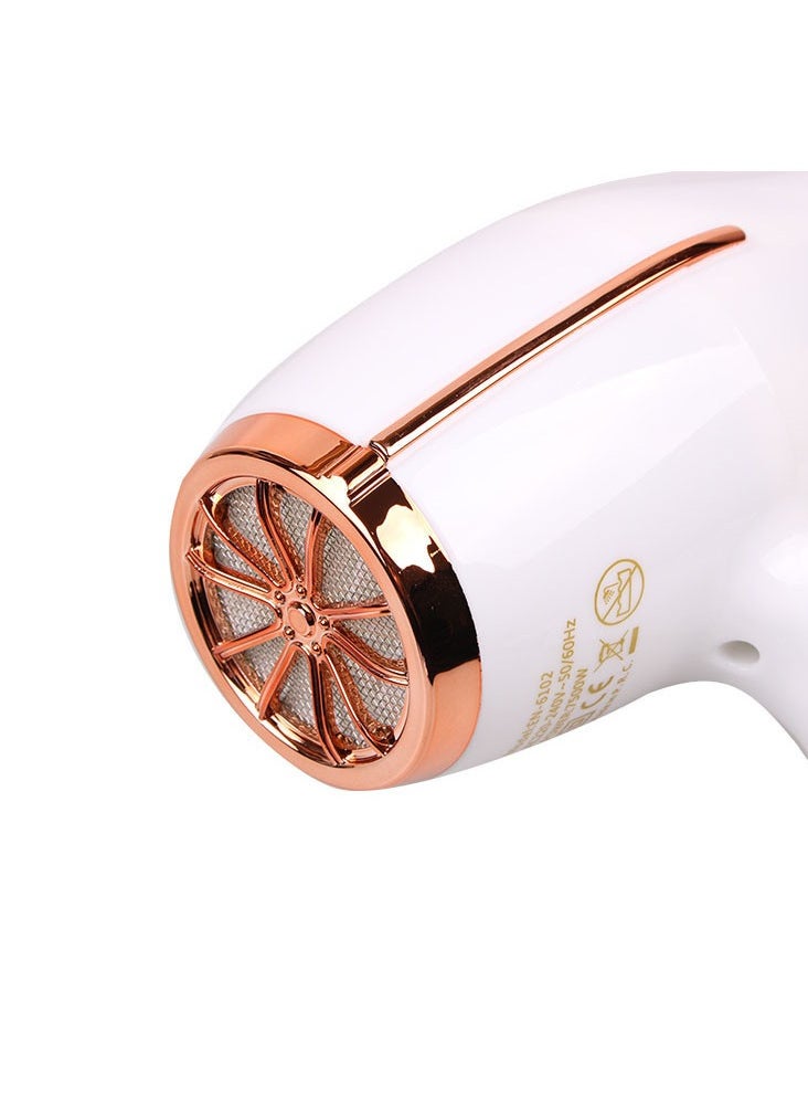 ENZO Preofessional Hair Dryer EN-6102