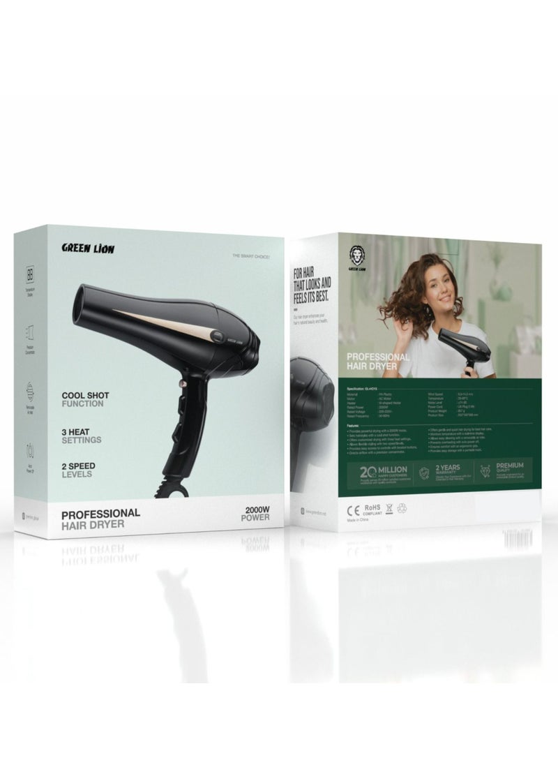 Professional Hair Dryer, 2000W Rated Power, 28-69°C Temperature, Precision Concentrator, Removable Air Inlet - Black