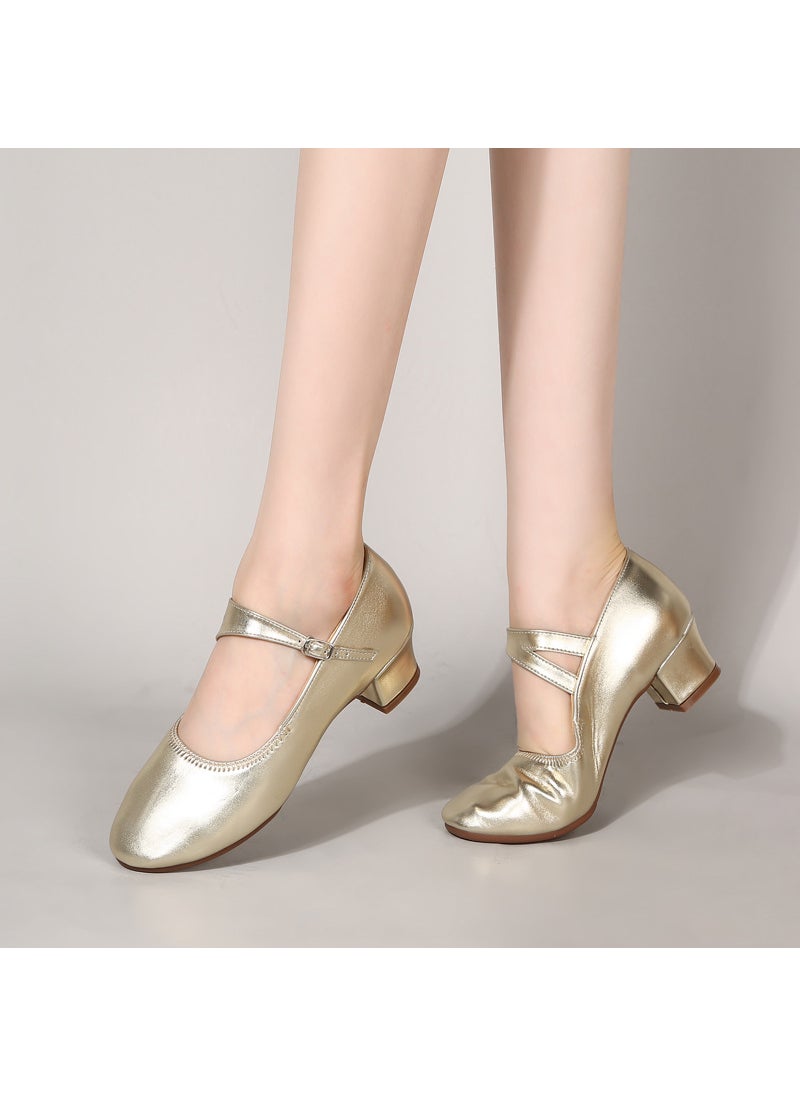 New 2024 Womens Silver Dance Shoes Soft LeatherGold Gold