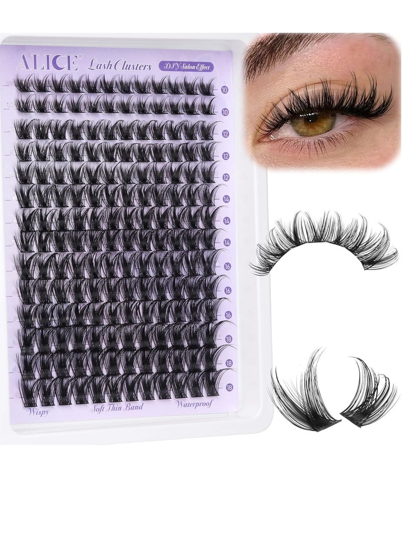 ALICE Lash Clusters Wispy Cluster Eyelash Extensions 168pcs Fluffy Individual Lashes 10-18mm Waterproof Natural Lash Extension DIY Cluster Lashes with Soft Thin Band