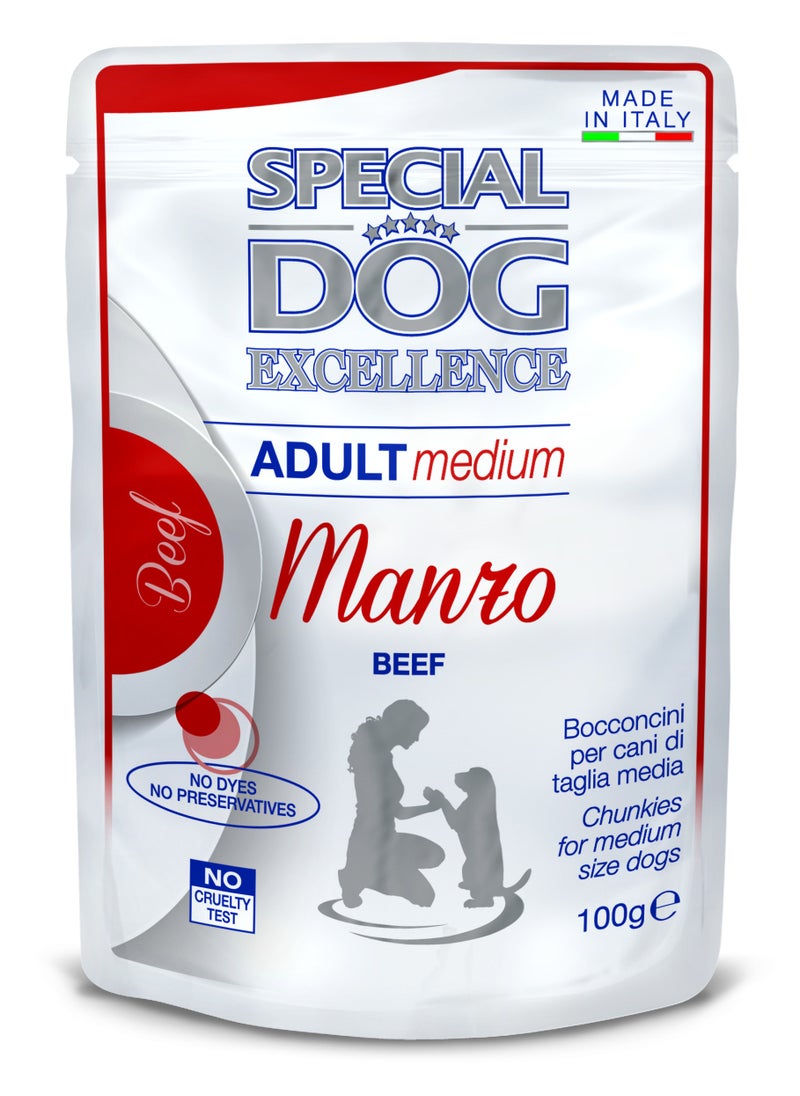 Special Dog Excellence by Monge | Adult Medium Dog Wet Food with Beef | Super Premium Complementary Wet Dog Food | Chunkies in Pouch - Pack of 24x100g